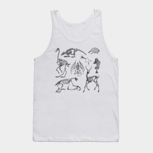 Nature of Decay Tank Top